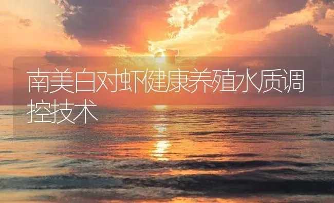 南美白对虾健康养殖水质调控技术 | 海水养殖