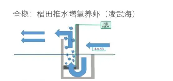 稻虾轮作田间工程的反思：钱要花在机械增氧上，而不是挖沟上！