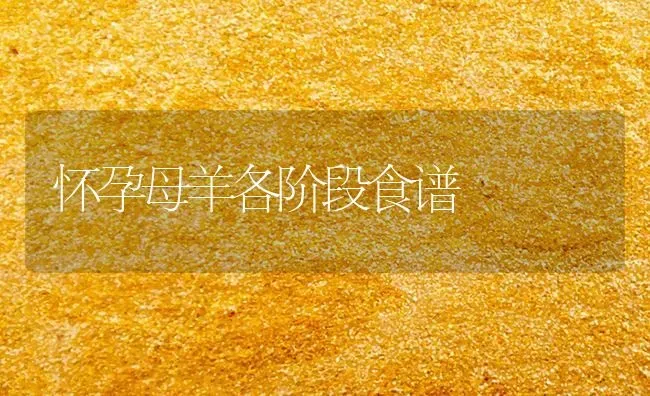 怀孕母羊各阶段食谱 | 家畜养殖