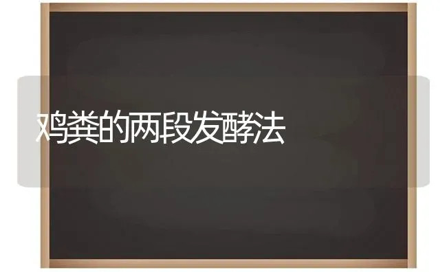 鸡粪的两段发酵法 | 家禽养殖