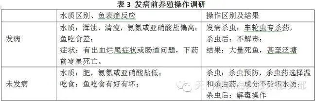 四五月份鮰鱼保苗技术方案—通海口鮰鱼养殖高手访谈