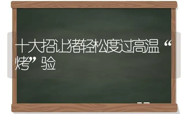 十大招让猪轻松度过高温“烤”验 | 家畜养殖