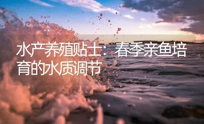 水产养殖贴士：春季亲鱼培育的水质调节 | 淡水养殖