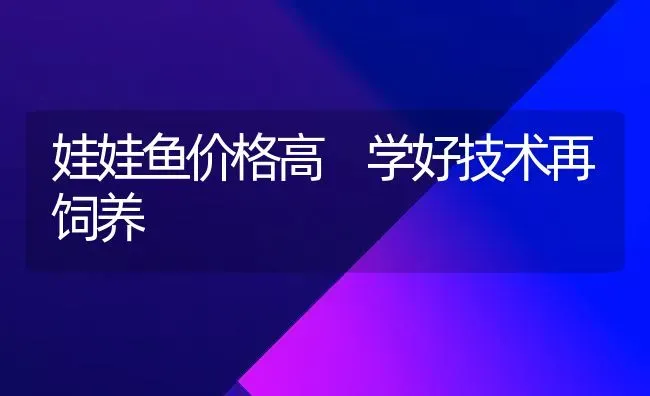 娃娃鱼价格高 学好技术再饲养 | 淡水养殖