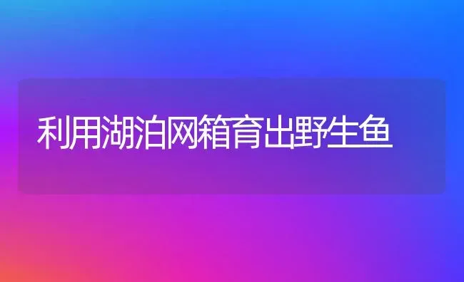 利用湖泊网箱育出野生鱼 | 淡水养殖