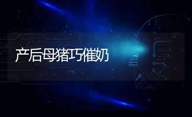 产后母猪巧催奶 | 家畜养殖