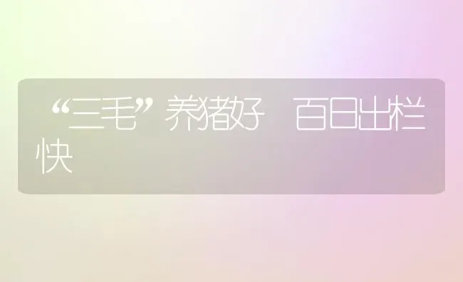 “三毛”养猪好 百日出栏快 | 家畜养殖