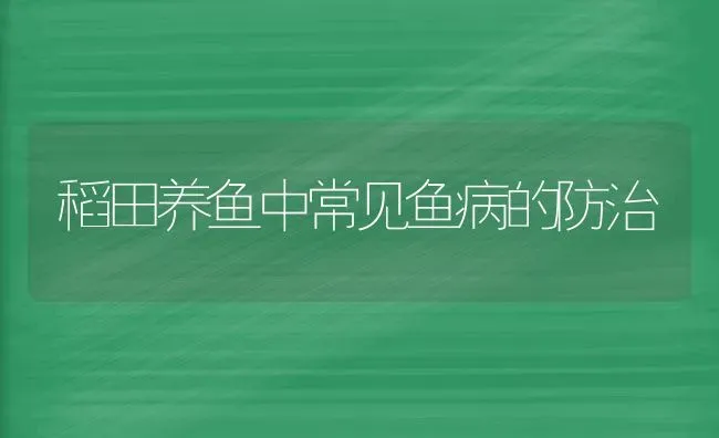 稻田养鱼中常见鱼病的防治 | 淡水养殖