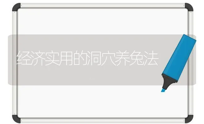 经济实用的洞穴养兔法 | 家畜养殖