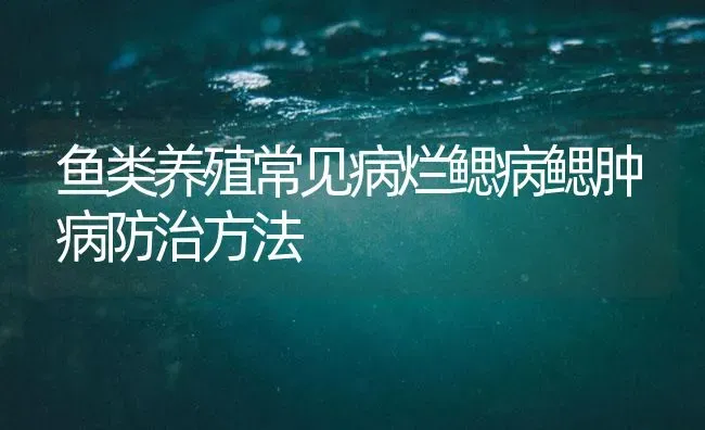 鱼类养殖常见病烂鳃病鳃肿病防治方法 | 养殖病虫害防治