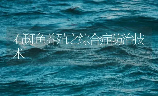 石斑鱼养殖之综合症防治技术 | 海水养殖