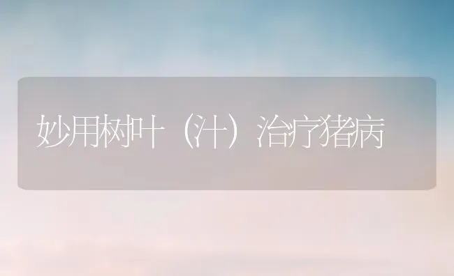 妙用树叶（汁）治疗猪病 | 家畜养殖