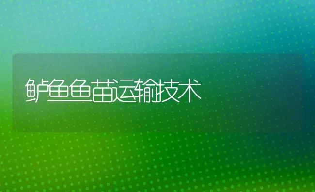 鲈鱼鱼苗运输技术 | 淡水养殖