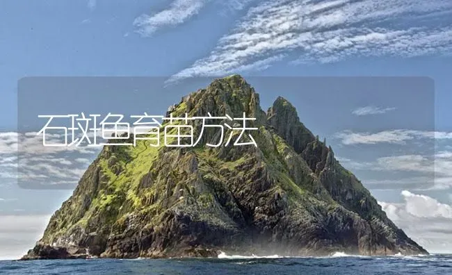 石斑鱼育苗方法 | 海水养殖