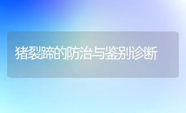 猪裂蹄的防治与鉴别诊断 | 家畜养殖