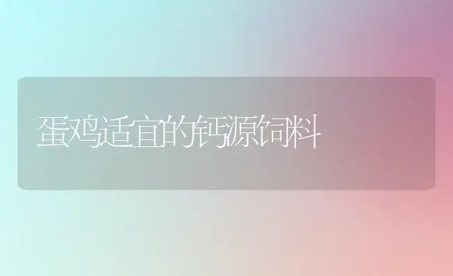 蛋鸡适宜的钙源饲料 | 家禽养殖