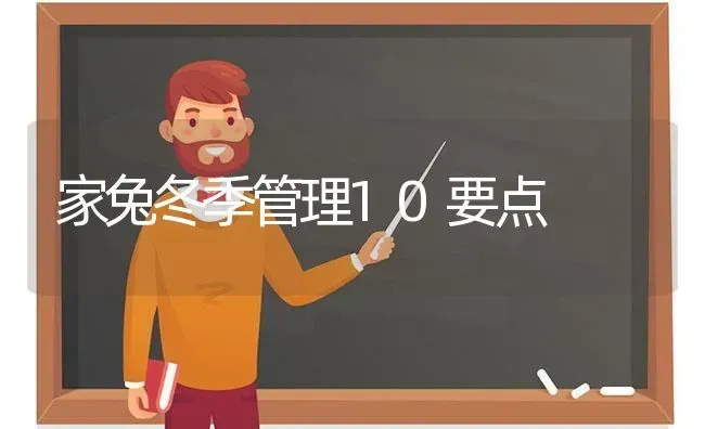 家兔冬季管理10要点 | 家畜养殖