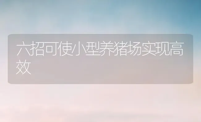 六招可使小型养猪场实现高效 | 家畜养殖