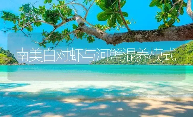 南美白对虾与河蟹混养模式 | 海水养殖