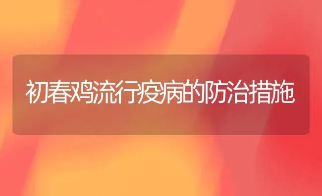 初春鸡流行疫病的防治措施 | 家禽养殖