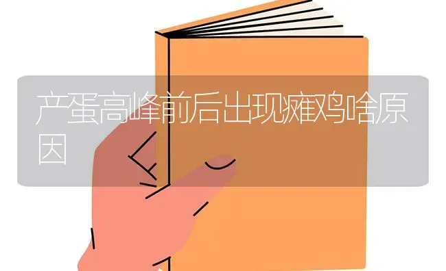 产蛋高峰前后出现瘫鸡啥原因 | 家禽养殖