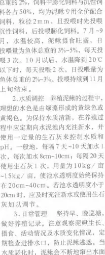 利用水泥池高效养殖泥鳅技术介绍