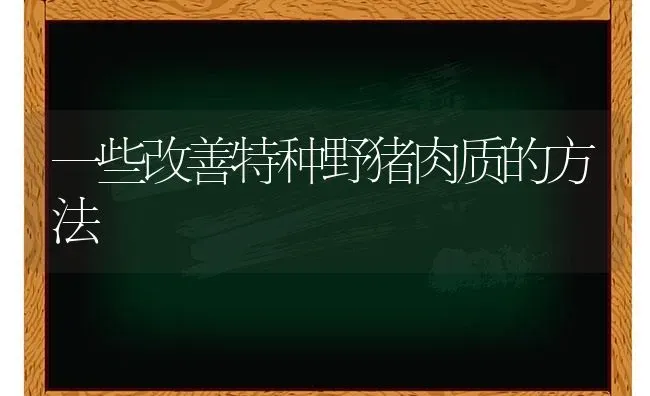 一些改善特种野猪肉质的方法 | 家畜养殖