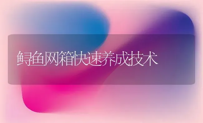 鲟鱼网箱快速养成技术 | 淡水养殖