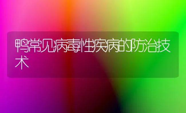 鸭常见病毒性疾病的防治技术 | 家禽养殖