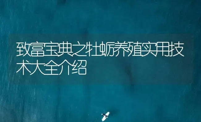 致富宝典之牡蛎养殖实用技术大全介绍 | 海水养殖
