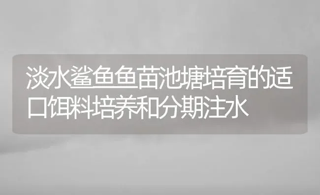 淡水鲨鱼鱼苗池塘培育的适口饵料培养和分期注水 | 特种养殖