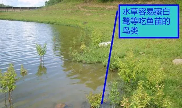 开春养殖做好这些细节工作，后期少很多烦心事！