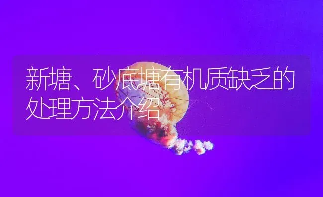 新塘、砂底塘有机质缺乏的处理方法介绍 | 动物养殖百科