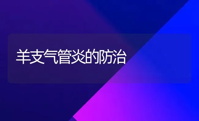 羊支气管炎的防治 | 家畜养殖