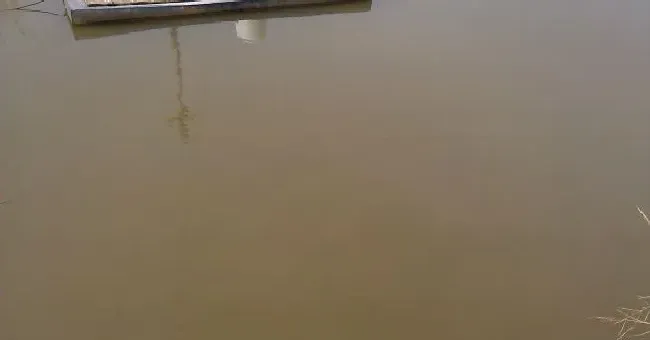 清明过后阴雨天鱼虾养殖塘病害预防方案