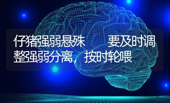 仔猪强弱悬殊  要及时调整强弱分离，按时轮喂 | 家畜养殖