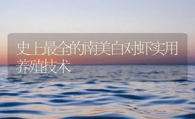 史上最全的南美白对虾实用养殖技术 | 海水养殖