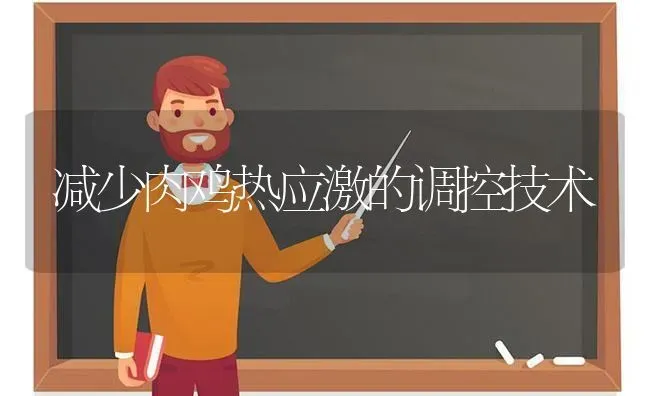 减少肉鸡热应激的调控技术 | 家禽养殖