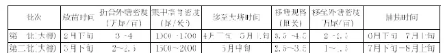 罗氏沼虾养殖采用轮放轮捕、生态养殖模式，增收增效