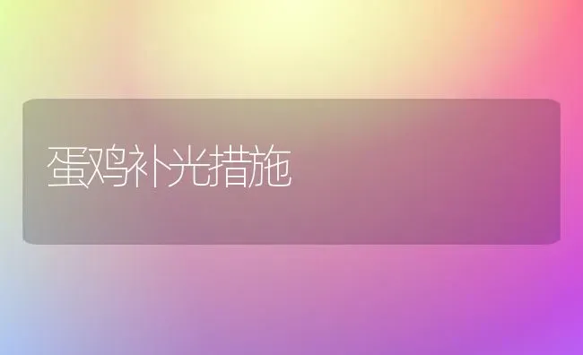 蛋鸡补光措施 | 家禽养殖