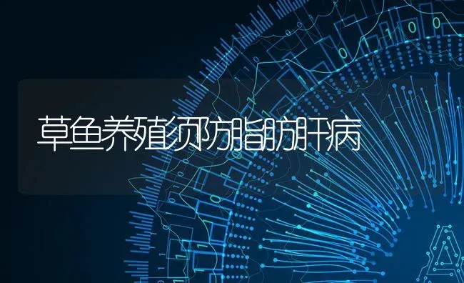 草鱼养殖须防脂肪肝病 | 淡水养殖