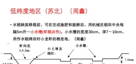 稻虾轮作田间工程的反思：钱要花在机械增氧上，而不是挖沟上！