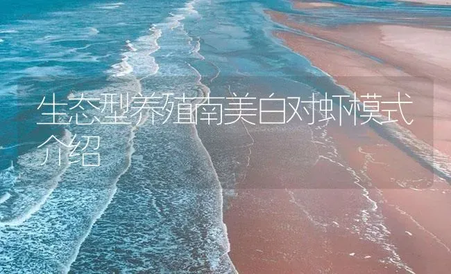 生态型养殖南美白对虾模式介绍 | 海水养殖