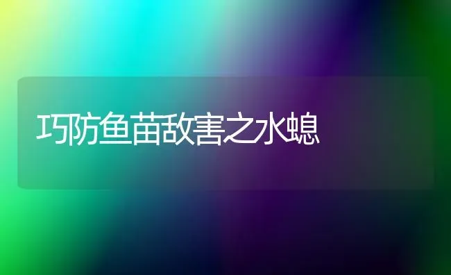 巧防鱼苗敌害之水螅 | 淡水养殖