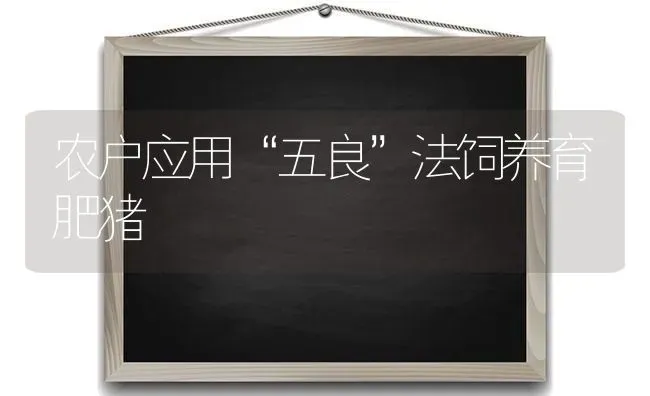 农户应用“五良”法饲养育肥猪 | 家畜养殖