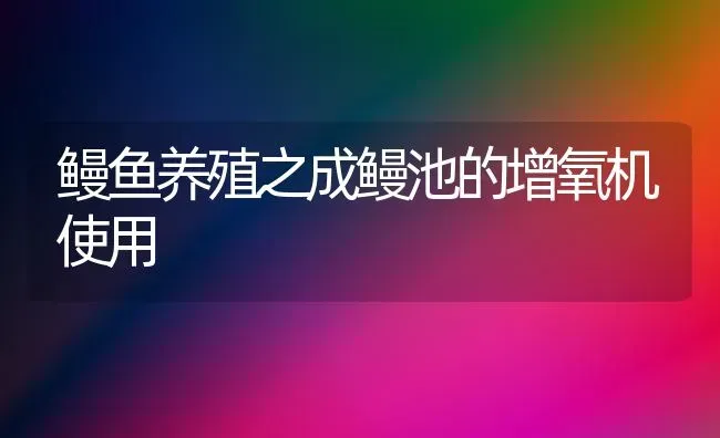 鳗鱼养殖之成鳗池的增氧机使用 | 动物养殖百科