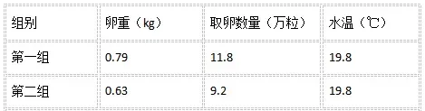 北京地区匙吻鲟剖腹取卵技术