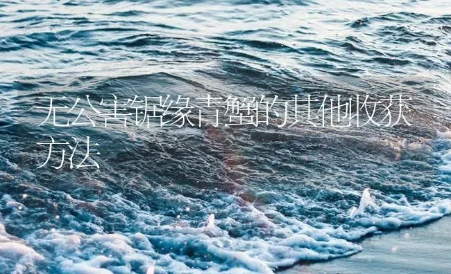 无公害锯缘青蟹的其他收获方法 | 海水养殖