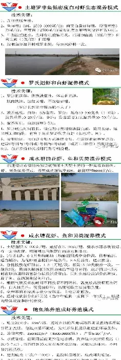 2014年福建广东广西海南四省对虾养殖现状及养殖模式分析