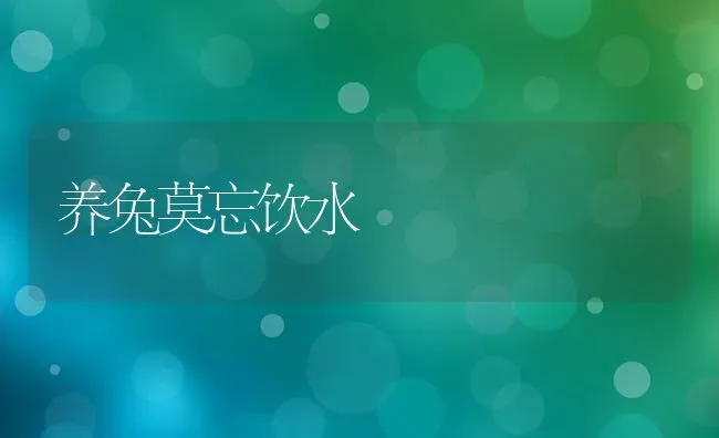 养兔莫忘饮水 | 家畜养殖
